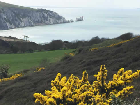 The Needles and Lighthouse